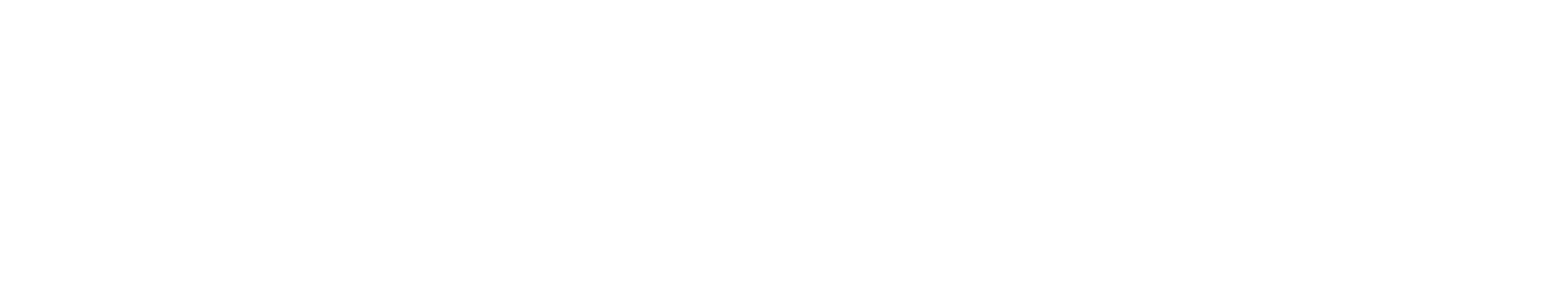 Zocoloco – Desarrolla tu tienda web